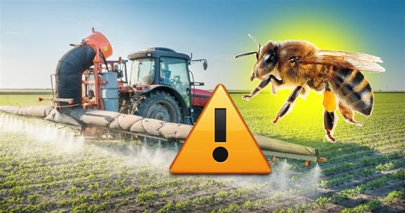 Увага! Буде проводитись внесення засобів захисту рослин!